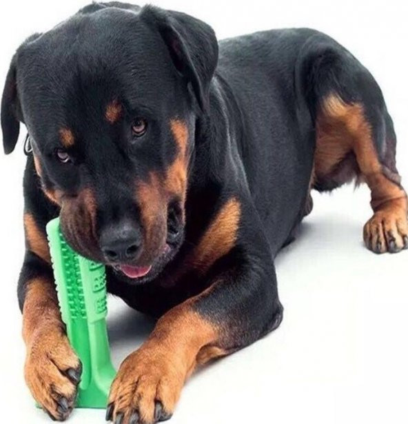 Köpek Diş Fırçası Isırma Aparatı Büyük Boy 15 X 10 X 4 Cm Köpek Oyuncagı ürün görseli 1