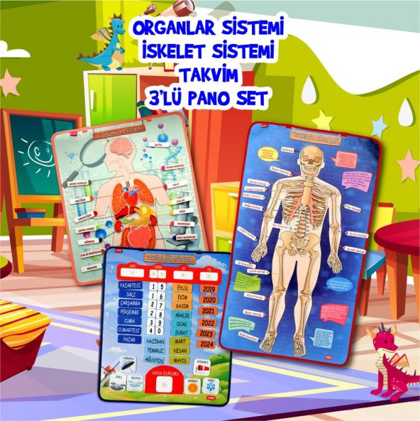 3 Set -106 Parça  İç Organlar , İskelet  Sistemi ve Takvimi Öğreniyorum Keçe Cırtlı Duvar Panoları , Eğitici Oyuncak ürün görseli 1