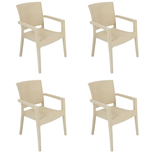 Dogant 4 Adet Kişilik Rattan Sandalye ürün görseli 1