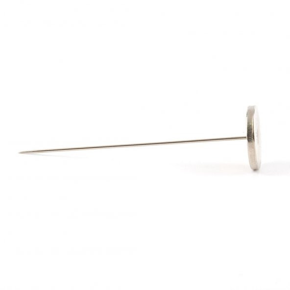 Pastal İğnesi 12 cm - Resim 2