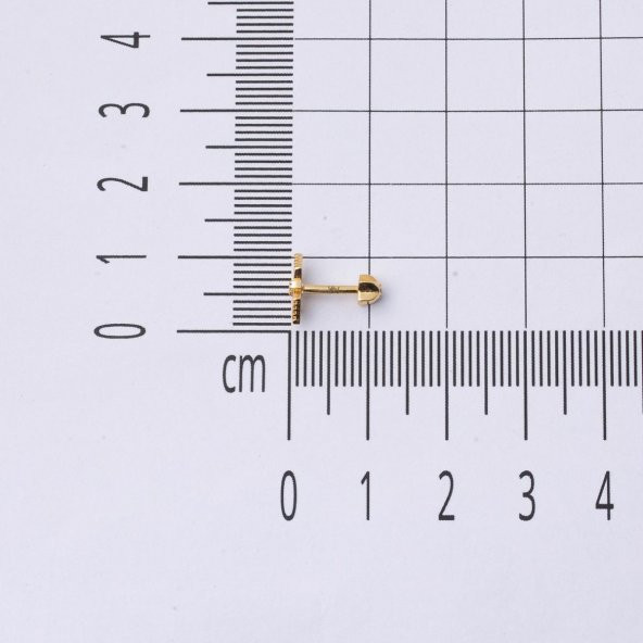 Amazon 14 Ayar Altın Tragus Küpe - Resim 6