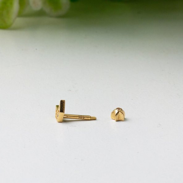 Yön 14 Ayar Altın Tragus Küpe - Resim 3