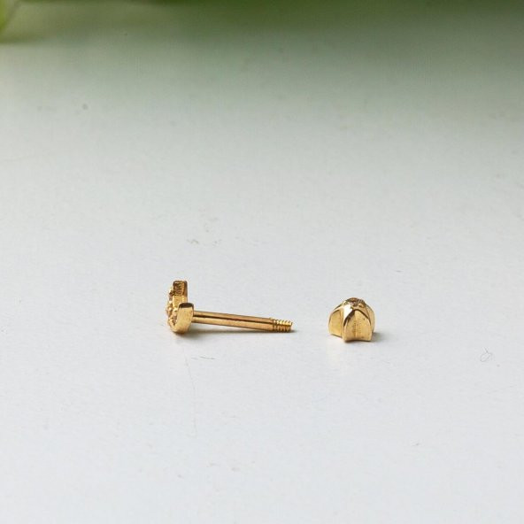 Hilal 14 Ayar Altın Tragus Küpe - Resim 3