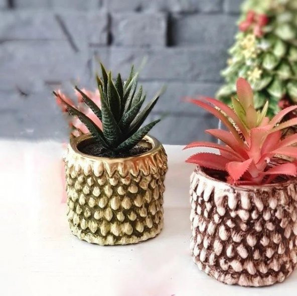 Kozalak Saksı 7x8cm - Resim 2