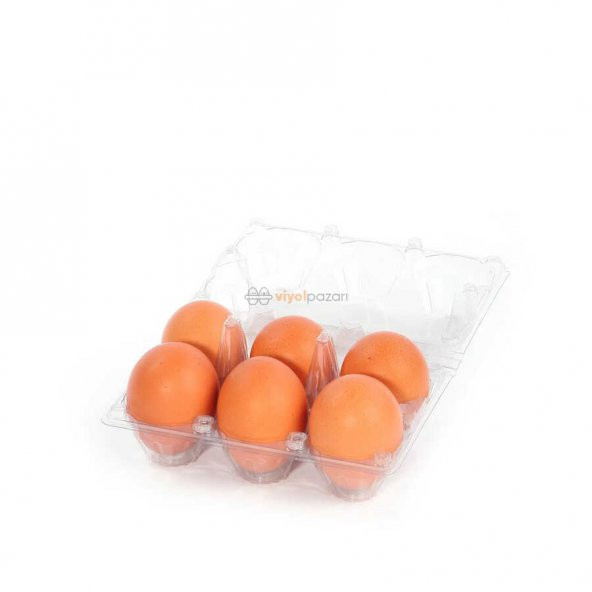 6lı Plastik Yumurta Viyolü (700 Adet) - Resim 2