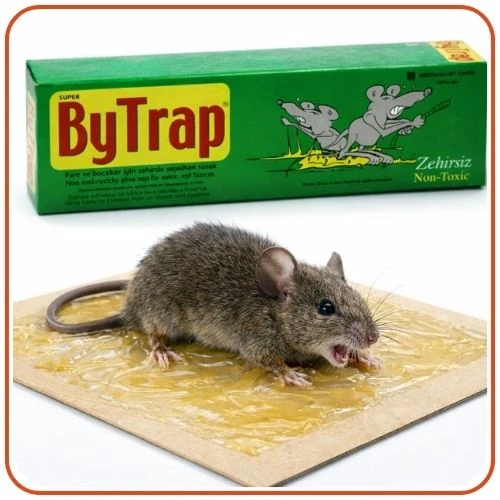 Bytrap Tüp Fare Yapışkan Tuzak | 75 ml - Resim 3