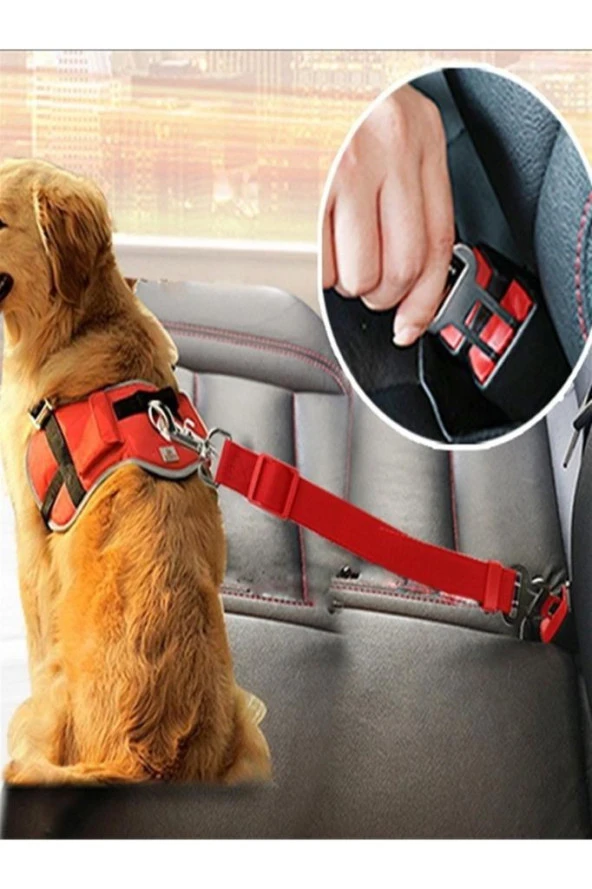Araba Köpek Emniyet Kemeri Oto Evcil Hayvan Araç Tasması Kemeri ürün görseli 1