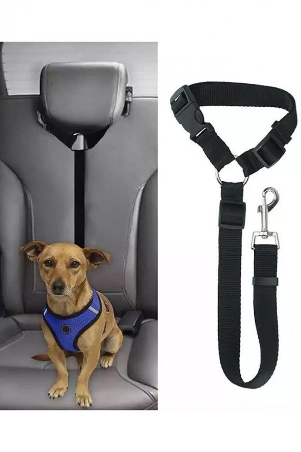 Evcil Hayvan Kedi - Köpek Araç Emniyet Kemeri 2 Adet Köpeğinizitutun ürün görseli 1