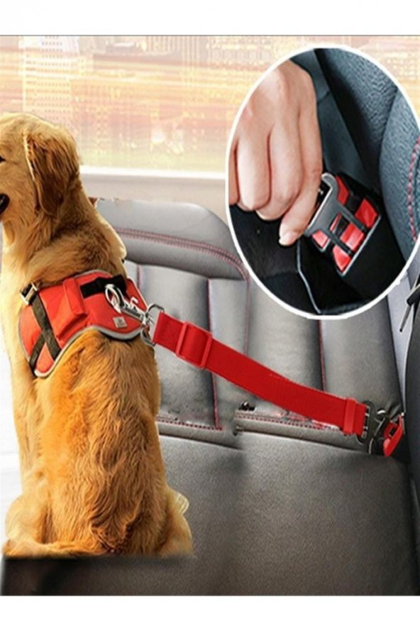Araba Köpek Kedi Tasması Emniyet Kemeri Oto Evcil Hayvan Boyun Araç Tasması Kemeri ürün görseli 1