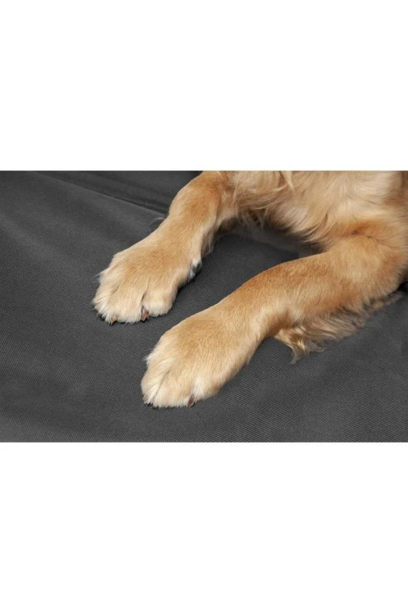 Oto Araç Içi Kedi Köpek Kılıfı Araba Koltuk Koruyucu Örtü Köpek Aksesuarı Petshop Köpek ürün görseli 1