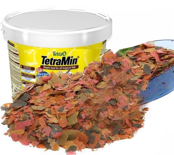 Tetra Min Flakes 100 Gr Pul Balık Yemi  (Kovadan Bölme) ürün görseli 1