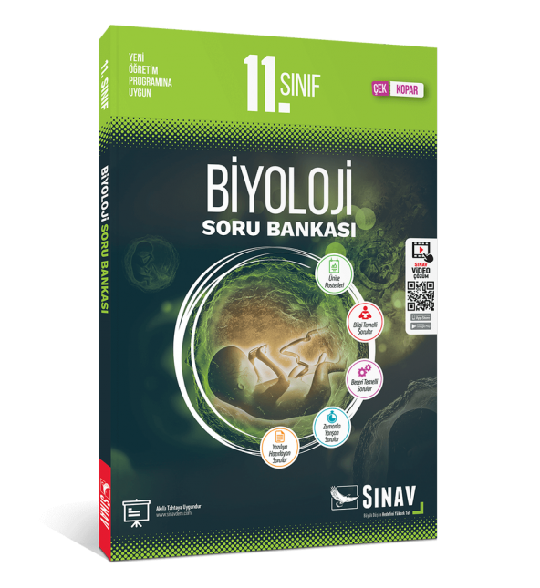 11.Sınıf Biyoloji  Soru Bankası Sınav Yayınları ürün görseli 1