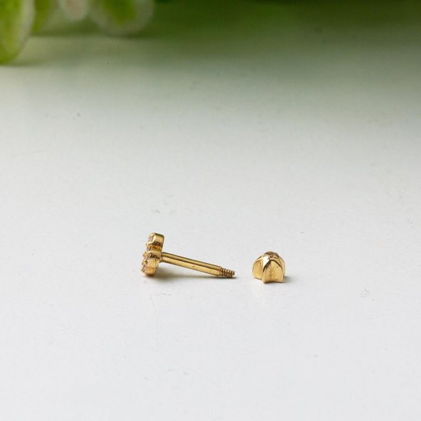 Tektaş 14 Ayar Tragus Altın Küpe - Resim 3