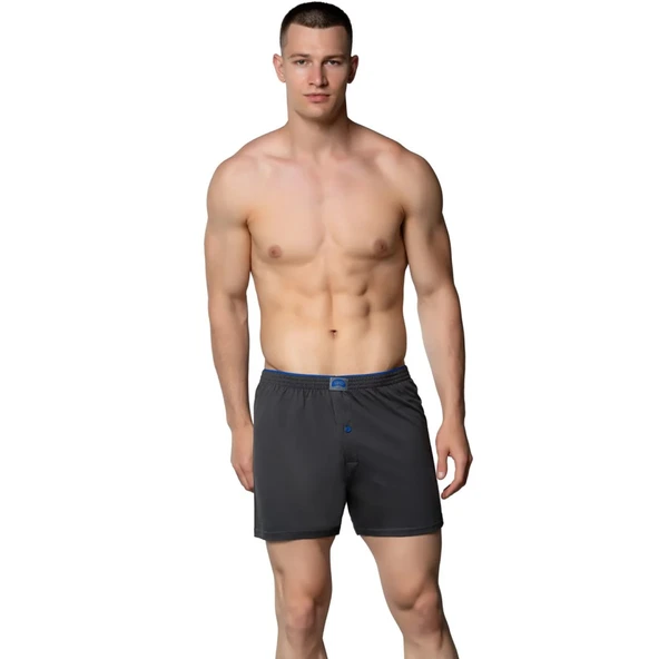 Gümüş Erkek Penye Boxer Düz Renkler Pamuklu Erkek Boxer 4020 ürün görseli 1