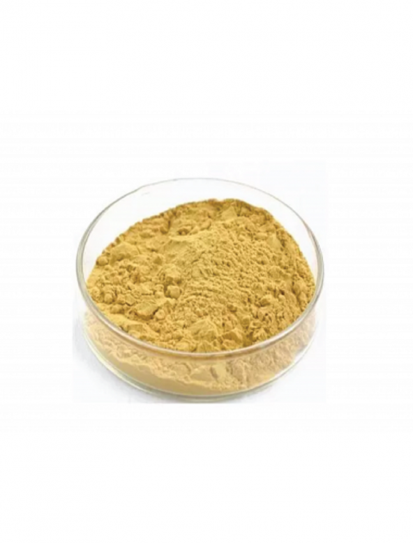 Milk Thistle Extract (Deve Dikeni Ekstresi) Toz Hammadde 100 gr. ürün görseli 1
