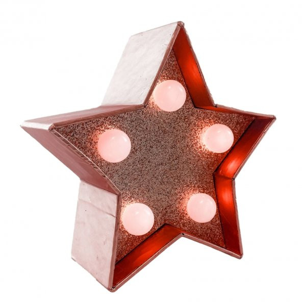 gaman Dekoratif 5 ledli Yıldız Led Işık Günışığı Led 10.5cm x 10.5cm Pilli ürün görseli 1