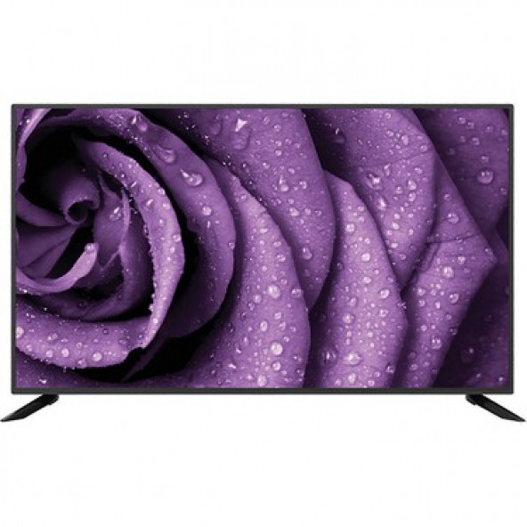 PROFİLO 43PA315EG 43" FULL HD SMART ANDROID LED TV ürün görseli 1