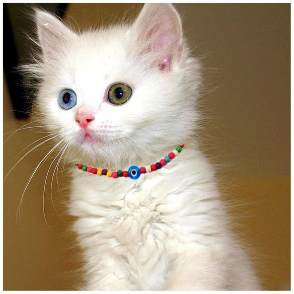 Karışık Renk Seramik Boncuk Nazar Boncuklu Kedi Tasması ürün görseli 1
