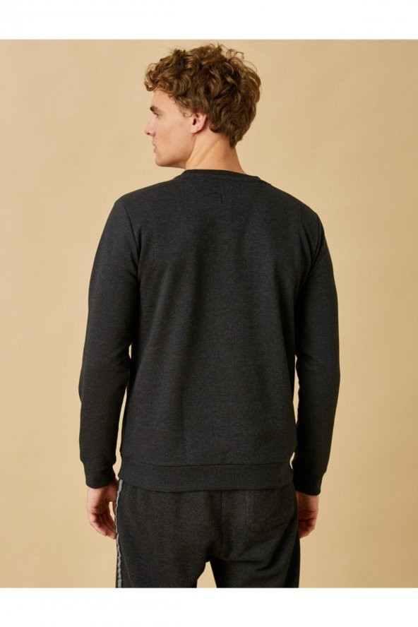Basic Sweatshirt Pamuklu - Resim 4