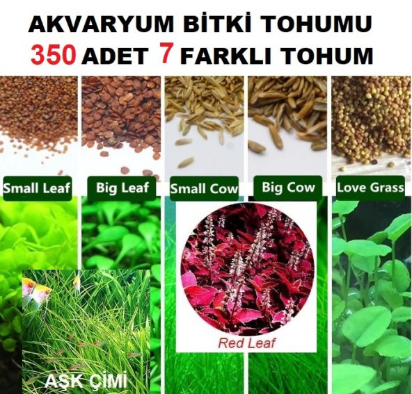 350 Adet 7 Farklı Akvaryum Bitkisi Tohumu + 10 Adet H.Lale Tohumu ürün görseli 1