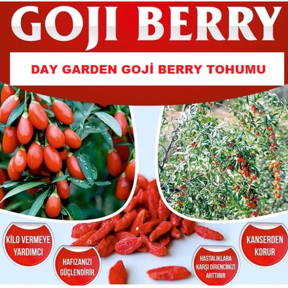 10 Adet Goji Berry Tohumu + 10 Adet Gül Tohumu G.BERİKB ürün görseli 1