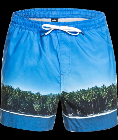 Quiksilver Jlagdrmsvly15 Erkek Jamv Bmm6 Volley Şort Eqyjv03548-Bmm6 ürün görseli 1