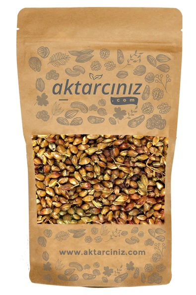 Süpürge Tohumu 1 Kg ürün görseli 1