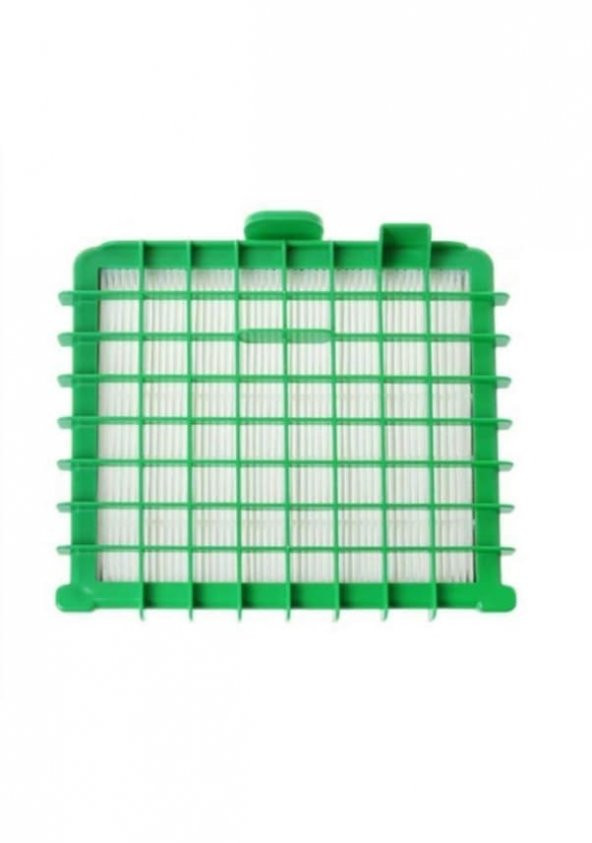 Rowenta RO 4500 - 4599 Silence Force Uyumlu Hepa Filtre ürün görseli 1