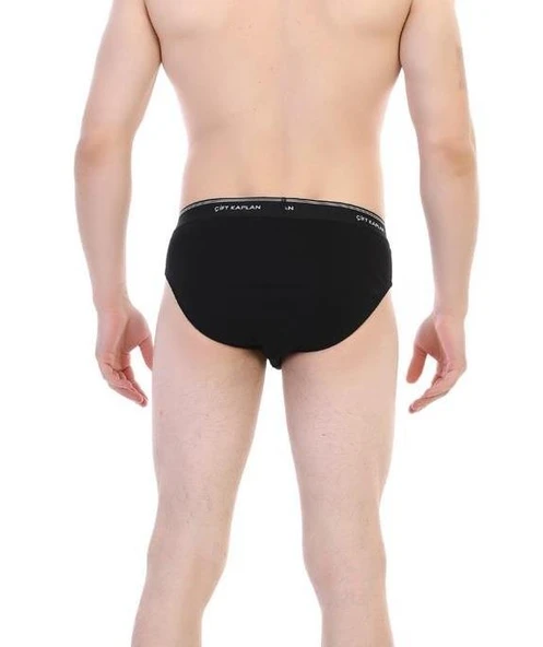 Çift Kaplan Erkek Ribana Slip Külot 870 - Resim 3