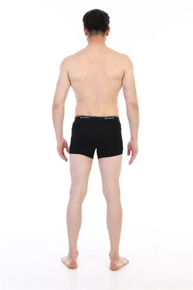 Çift Kaplan Erkek Elastanlı Biyeli Boxer 850 - Resim 3