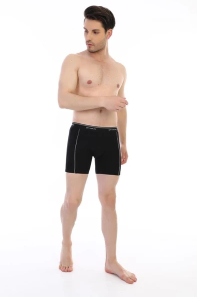 Çift Kaplan Erkek Elastanlı Biyeli Boxer 855 - Resim 2