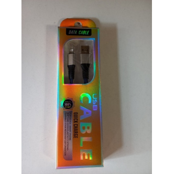 ASLANTİC QUICK İPHONE POWERBANK KABLOSU KISA - Resim 2