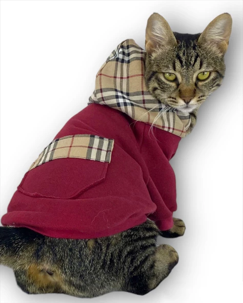 Bb Limited Bordo Duo Kapşonlu Kedi Sweatshirt ürün görseli 1