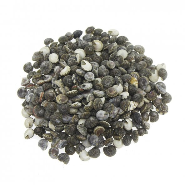 100gr. Umbinium Doğal Deniz Kabuğu ürün görseli 1