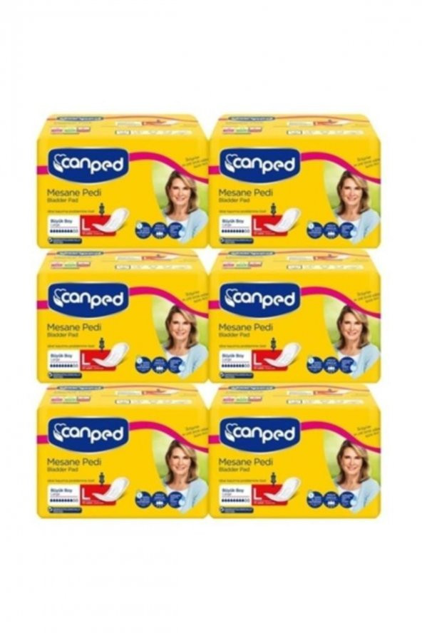 Canped Mesane Pedi Büyük Boy Large 10 Lu X 6 Adet ürün görseli 1