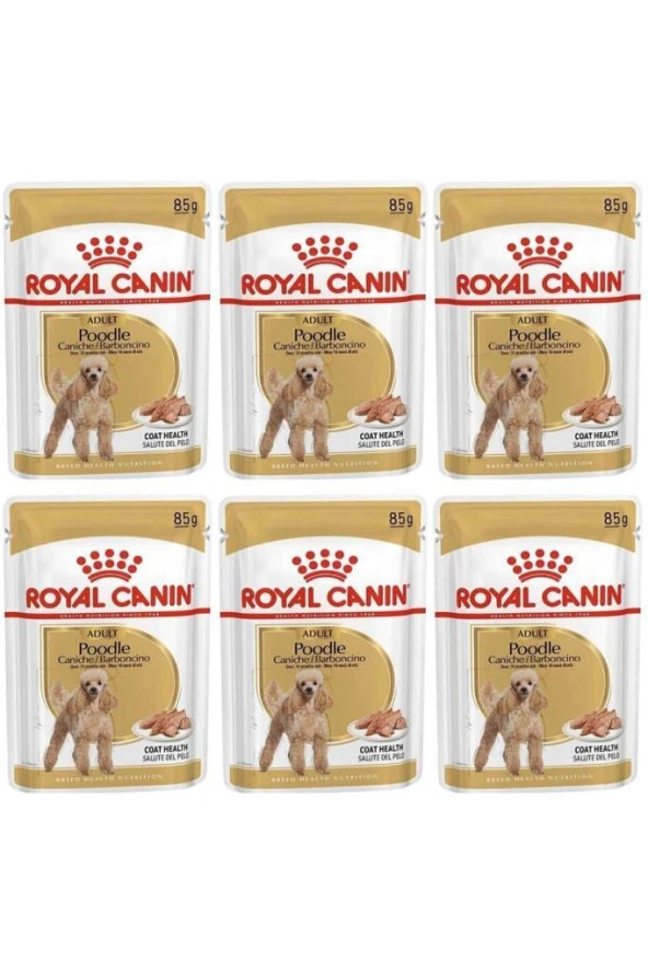 Royal Canin Adult Poodle Caniche Tüy Sagligi Destekleyici Yetiskin Köpek Konservesi 85gr 6 Adet ürün görseli 1