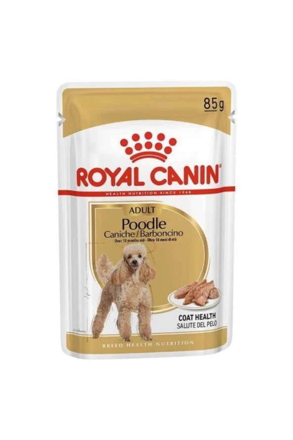 Royal Canin Adult Poodle Caniche Tüy Sagligi Destekleyici Yetiskin Köpek Konservesi 85gr ürün görseli 1