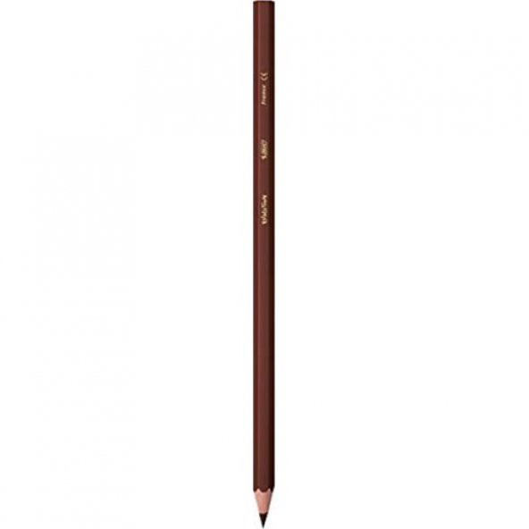 BİC KURUBOYA 24+1 METAL KURUBOYA - Resim 3