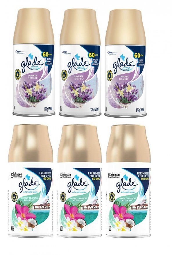 Glade Oda Kokusu Lavanta Ferahlığı X  Sprey 3 x 269Ml x Tropikal Floral X Sprey 3 X 269 Ml ürün görseli 1