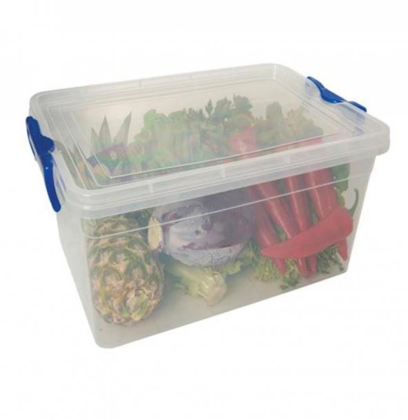 Kiler Box 50 Lt. (Saklama Kabı) ürün görseli 1