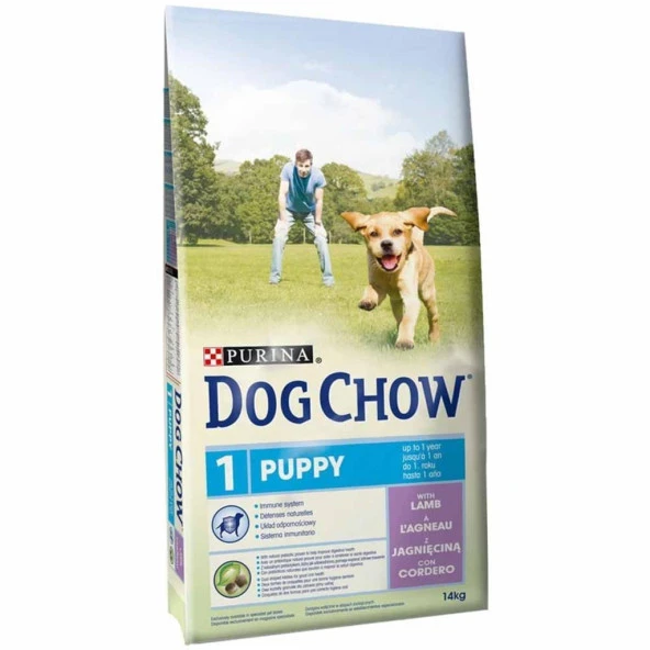 Purina Dog Chow Kuzu Etli Yavru Kuru Köpek Maması 14 Kg ürün görseli 1