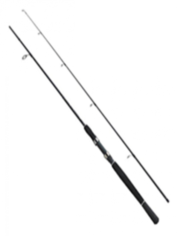 Fladen Xtra Flex 300 cm 15-40 Gr 2P ürün görseli 1