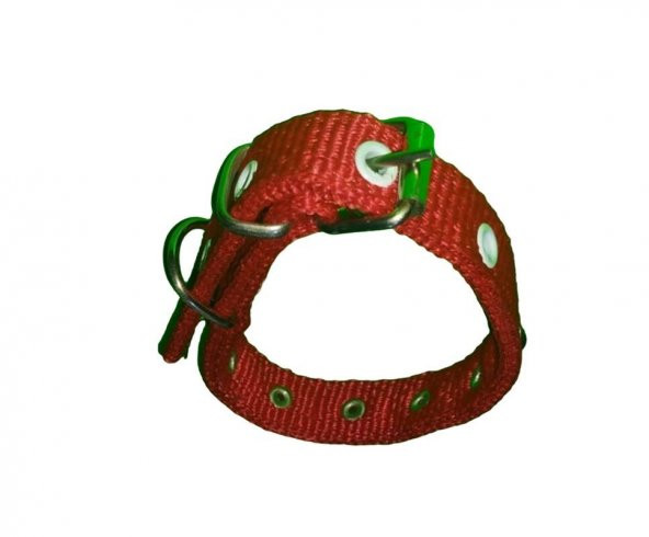 40 CM X2CM SÜSLU YAVRU TASMA MAVİ - Resim 6