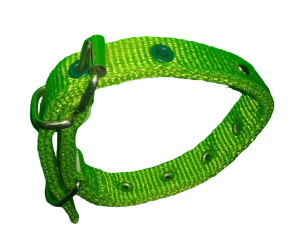 40 CM X2CM SÜSLU YAVRU TASMA YEŞİL ürün görseli 1