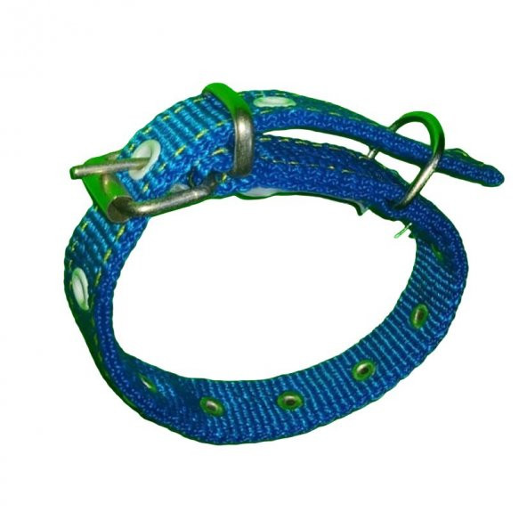 40 CM X2CM SÜSLU YAVRU TASMA MAVİ - Resim 5