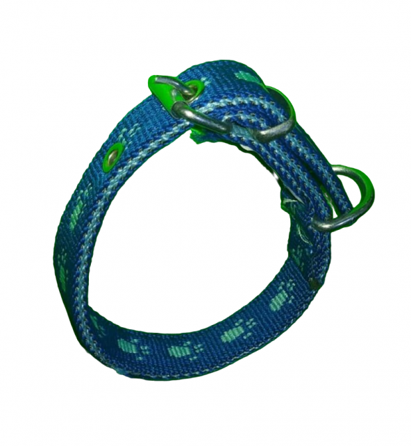 40 CM X2CM PATİLİ YAVRU TASMA MAVİ ürün görseli 1