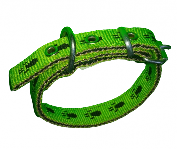 40 CM X2CM PATİLİ YAVRU TASMA YEŞİL ürün görseli 1