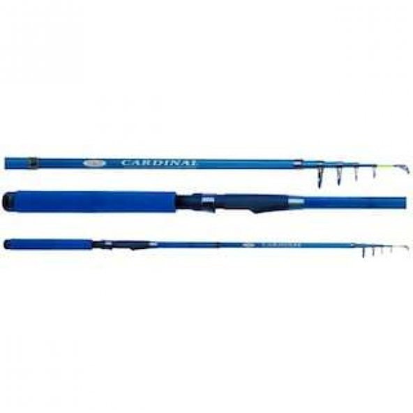 EFFE CARDINAL TELE SPİN KAMIŞ  3,00 MT MAVİ KAPALI BOY 64 CM 40-80 GR ürün görseli 1