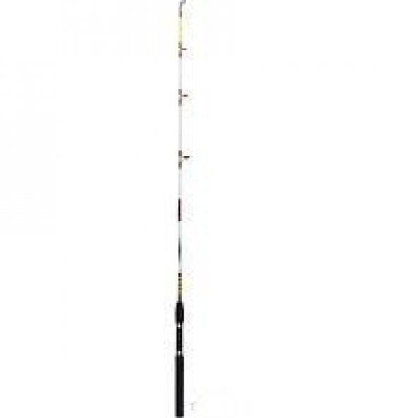 PİRENA STAR BOT KAMIŞ 165.CM - Resim 9