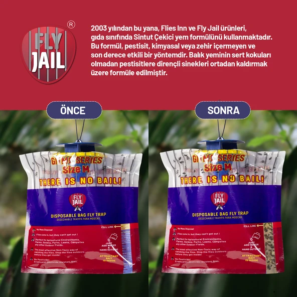 2 Adet Fly Jail - M Karasinek Tuzağı - Resim 4